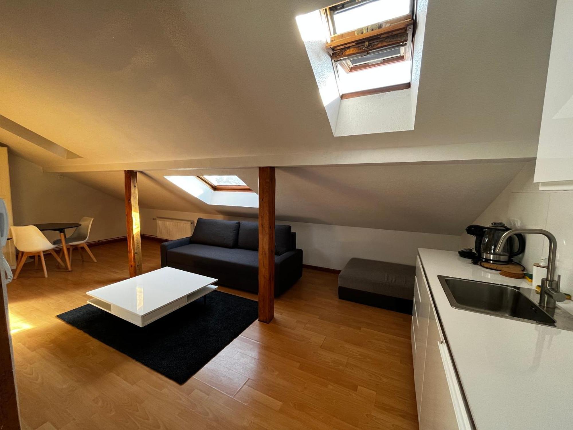 Petit Mulhouse 401 Apartment *